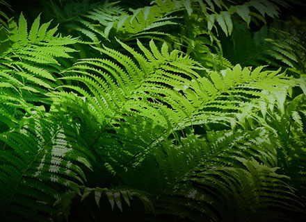 钱柜qg777(中国游)唯一官方网站