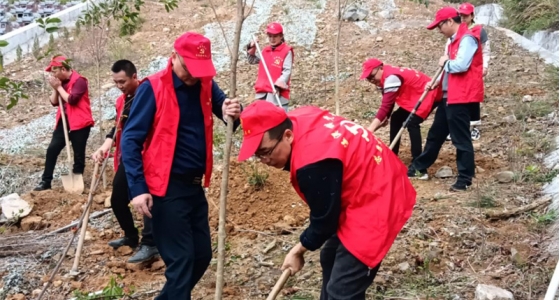 村企共建，共植先锋林