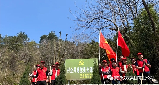 党建强引领，共植先锋林